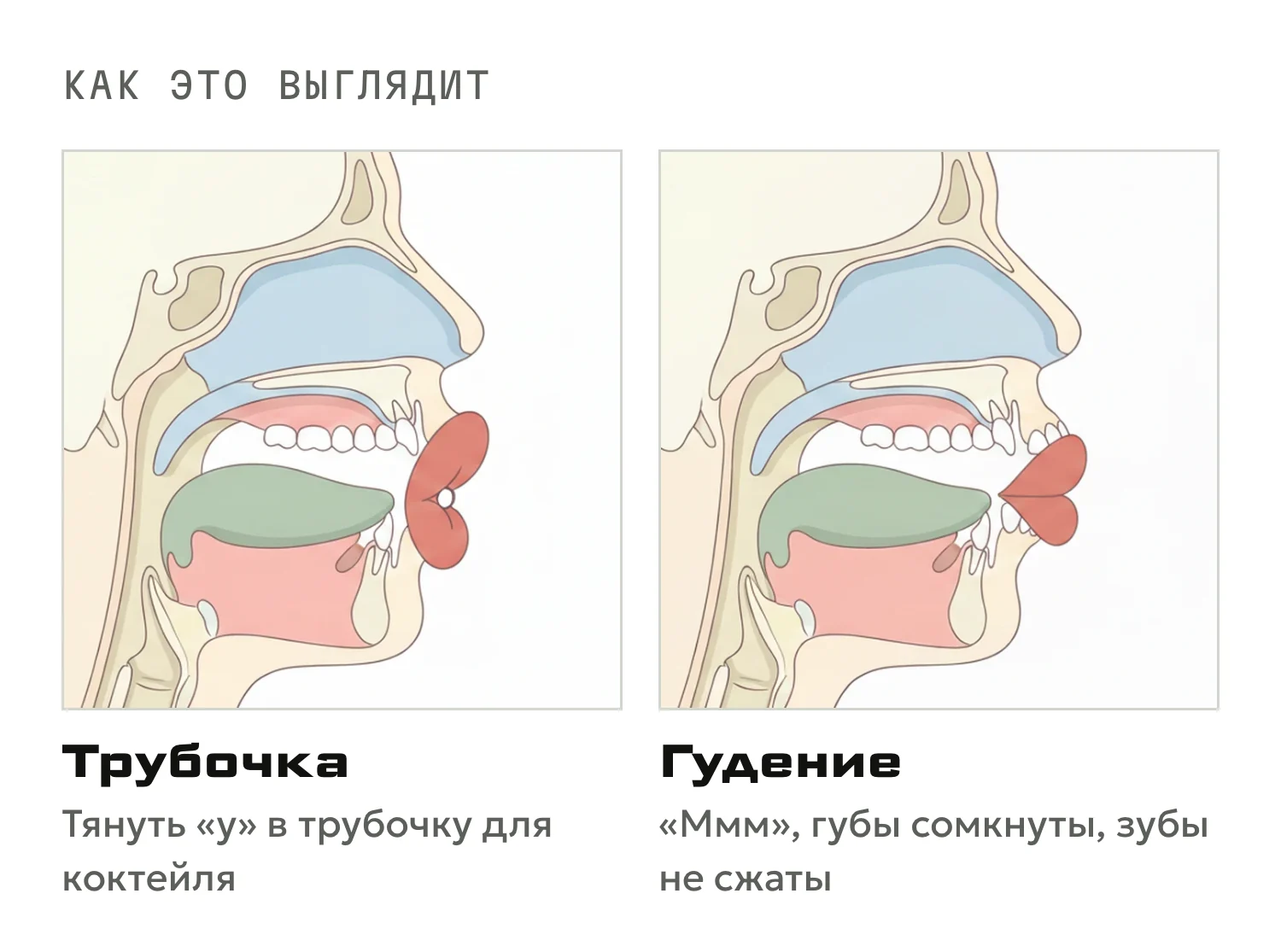 Положение губ для трубочки и для гудения на «м»
