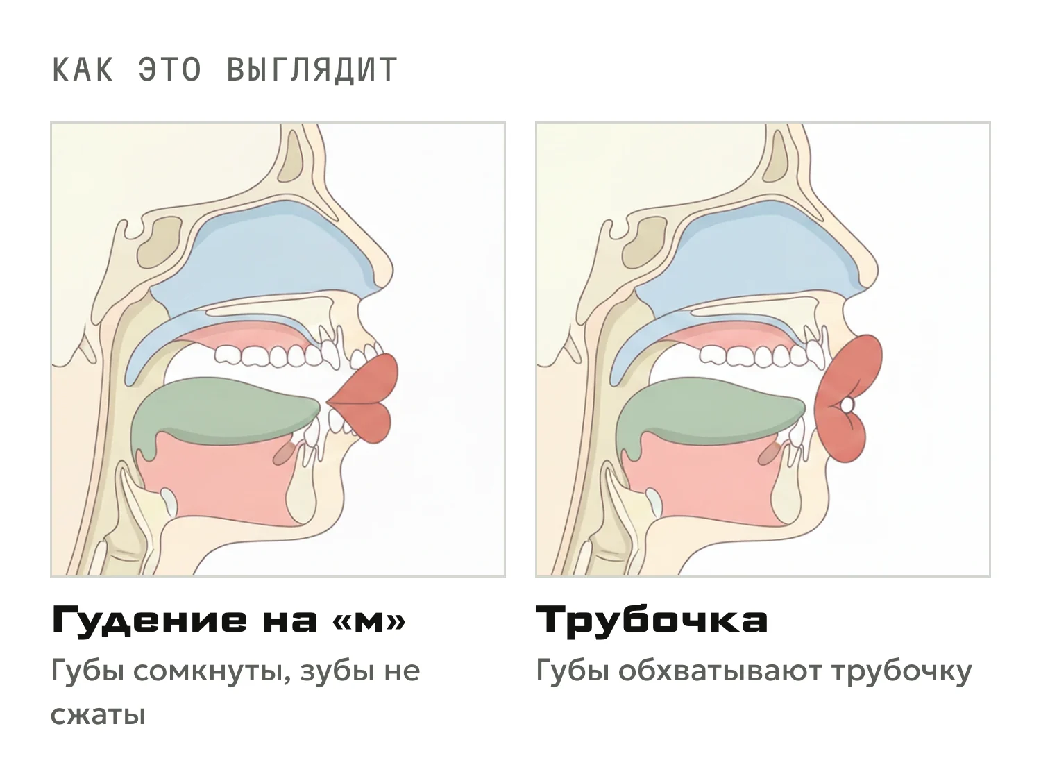 Положение губ: гудение на «м» с сомкнутыми губами и звук в трубочку